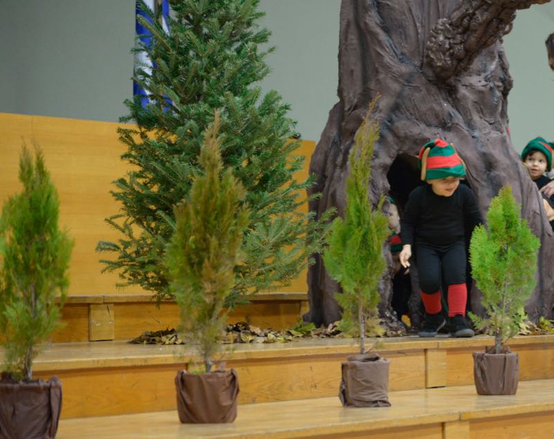 XRISTOYGENNIATIKH - 1 (6)